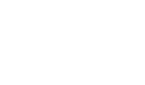 logo boxnfit